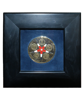 Abd Ordusu askeri Operation Iraqi Freedom Challenge Coin Army Navy Air Forces Marines Coast Guard